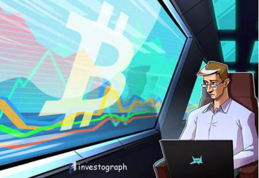 Bitcoin supply held by long-term holders hits all-time high — Research